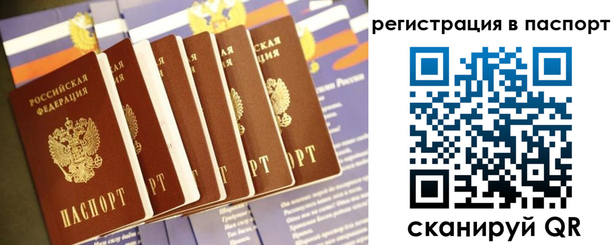 прописка ребенка в Алтайском крае